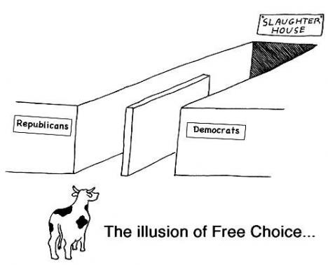 illusion of free choice
