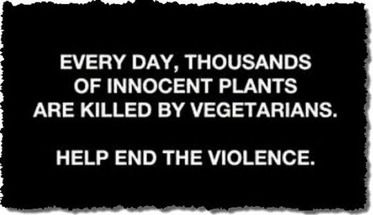 innocent plants killed by vegetarians