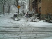 Canadian winter shorts