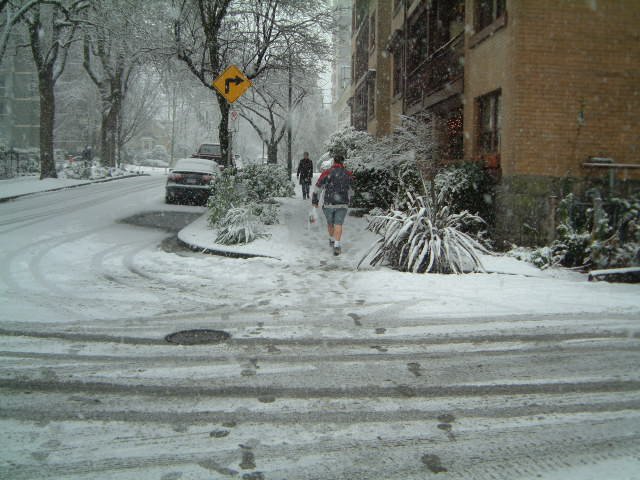 Canadian winter shorts
