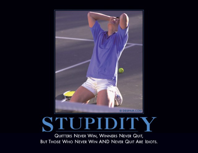 stupiditydemotivator