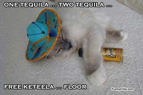 1 tequila 2 tequila