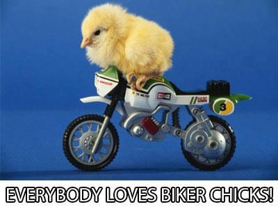 biker chicks