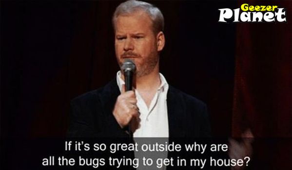 bugs inside house