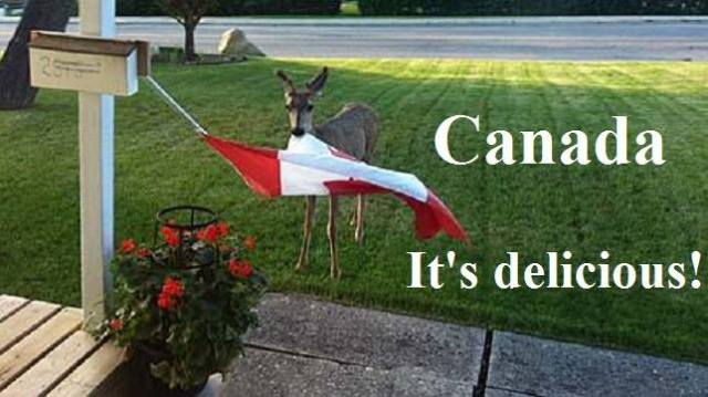 Canada 2 its delicious