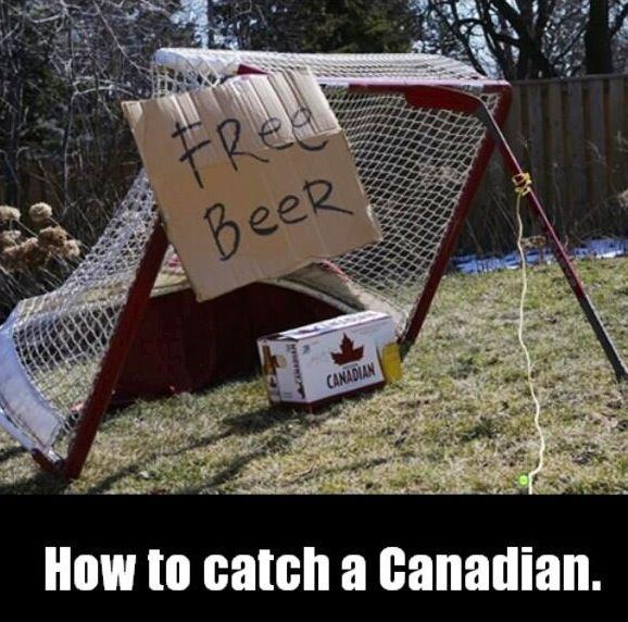 Canadian catch - free beer