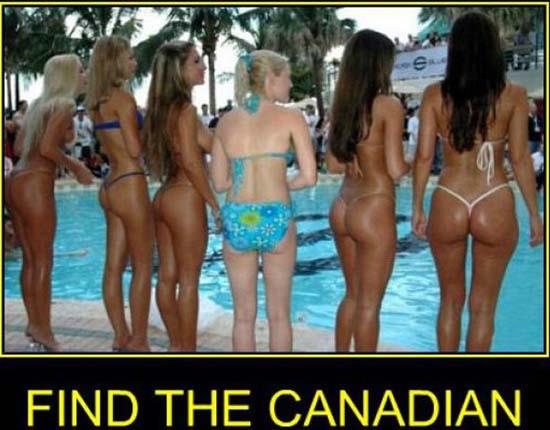 Canadian find the