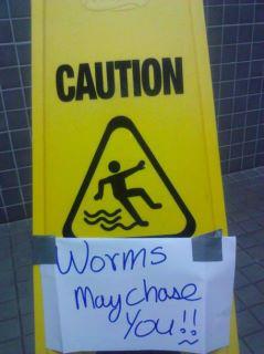 cation worms may chase you