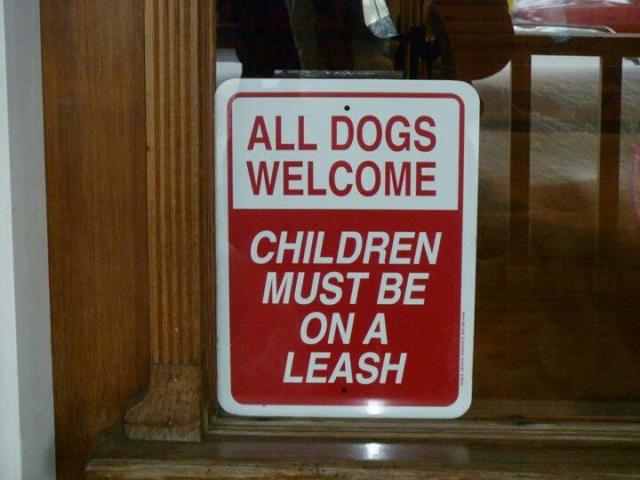 dogs welcome children leash