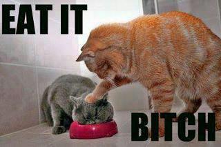 eat it bitch