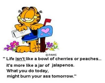 Garfield life not a bowl of cherries