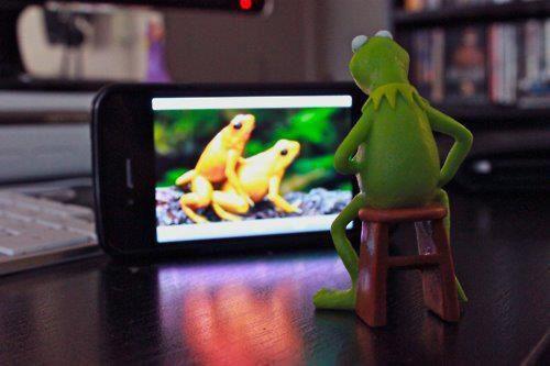 Kermit watches porn