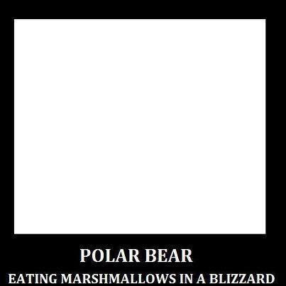 polar bear marshmallows blizzard