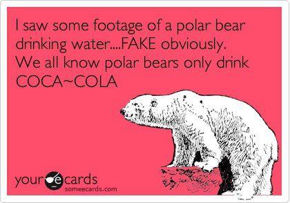polar bears drink Coke