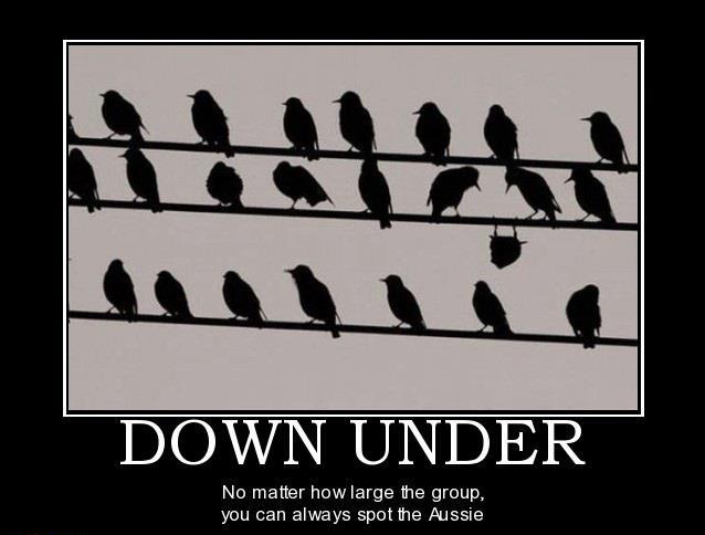 spot the Aussie