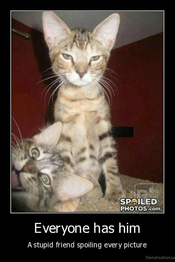 stupid friend spoil picture