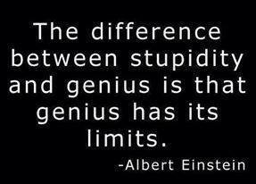 stupidity genius limits