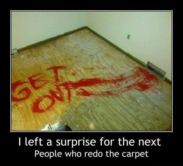 surprise next carpet
