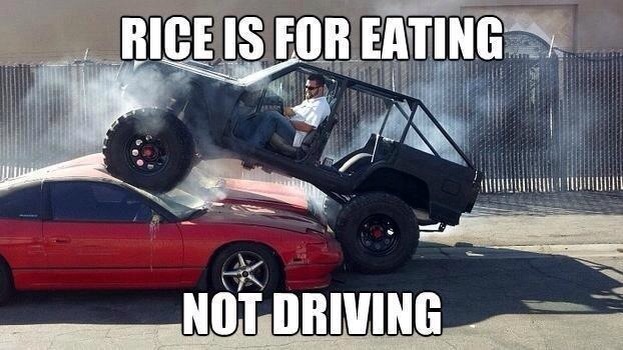 565356_499498063429258_1521624069_n X