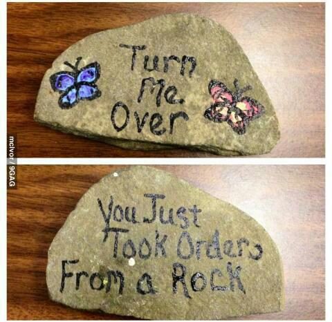 735107_410955292313734_200892879_n X