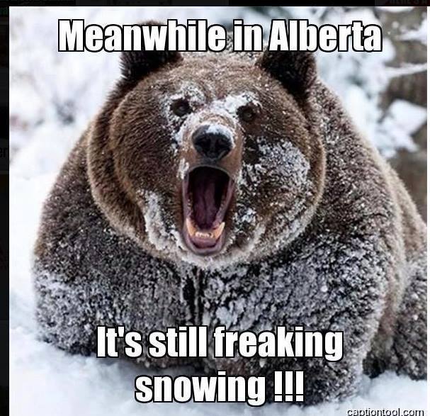 AB still snowing
