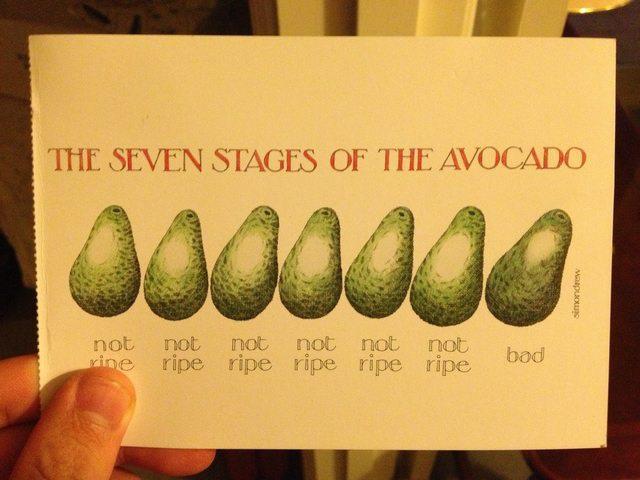 Avocado 7 stages X