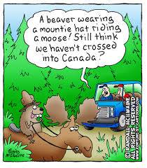 beaver riding moose