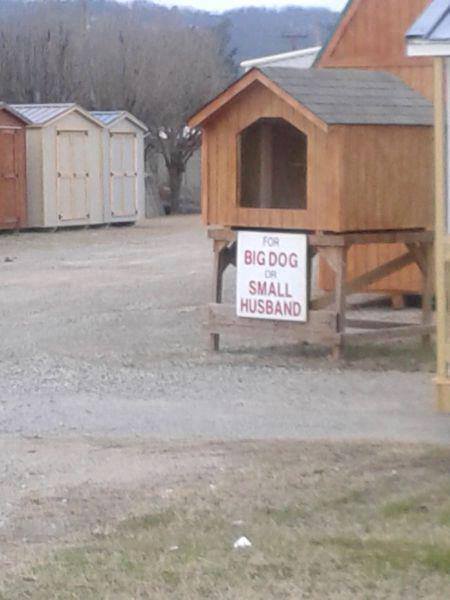 big dog small husband X