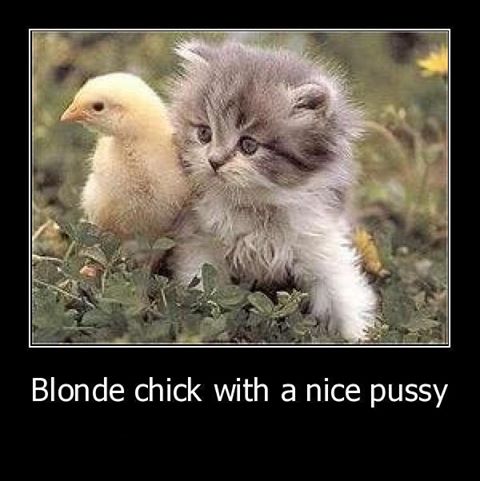 blond chick nice pussy X