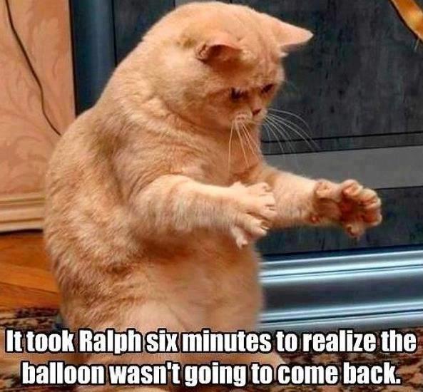 cat balloon gone X