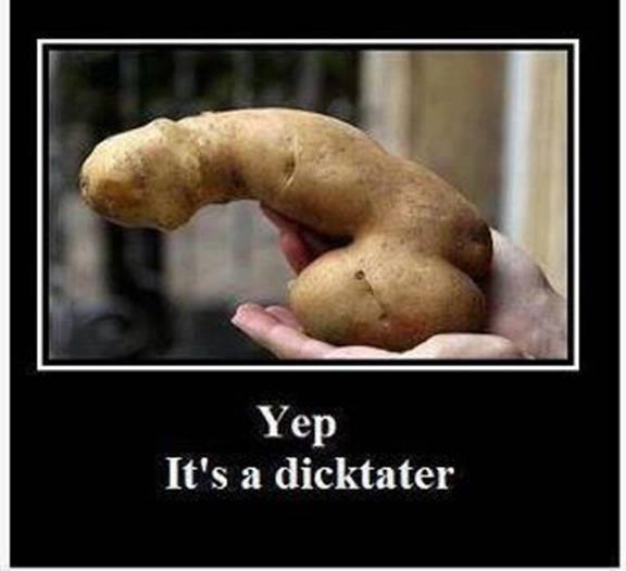 dicktator X