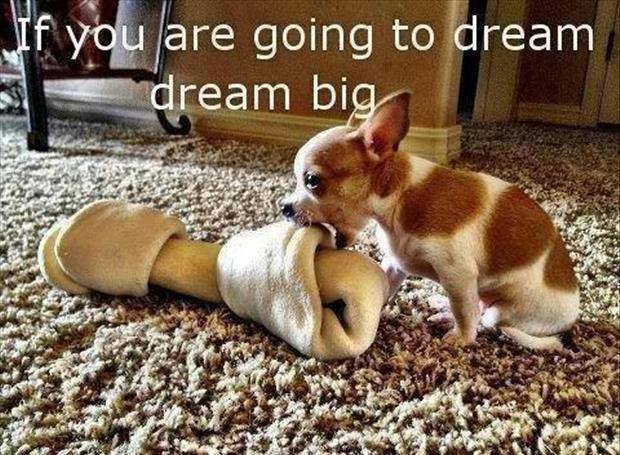 dream big X