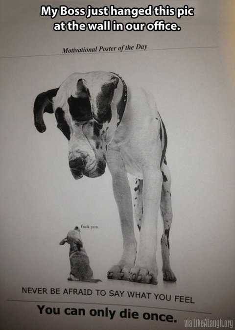 motivational die once x