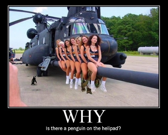 why penguin helipad X