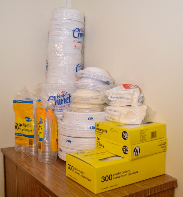 _DSC0049 paper plates